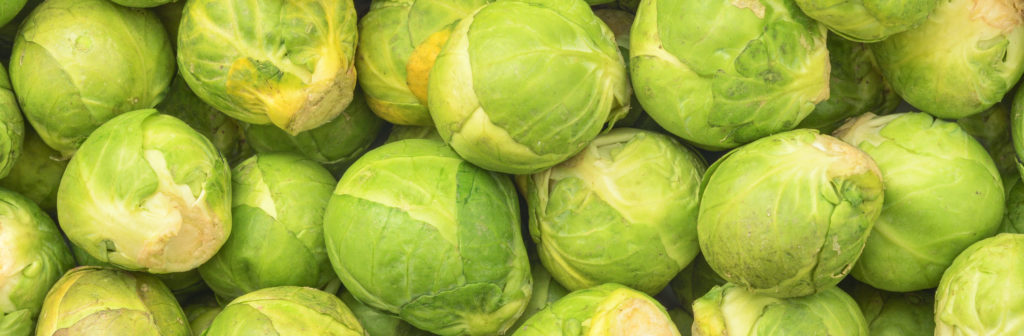 brussel-cabbage-PGSGNVY (1)
