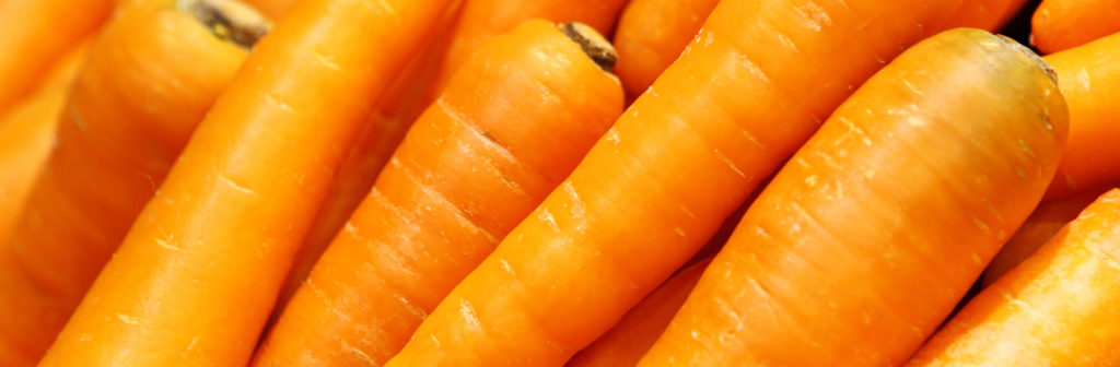 fresh-carrot-Y9MXELR (1)