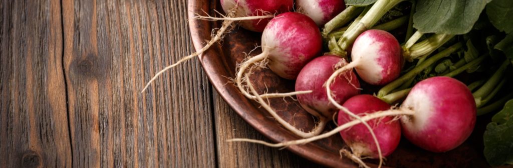 radishes-with-leaves-PLG78S8 (1)