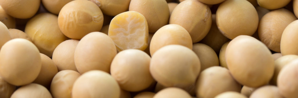 Close up of dried soya beans forming background